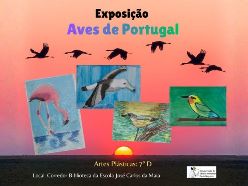  Exposição “Aves de Portugal”